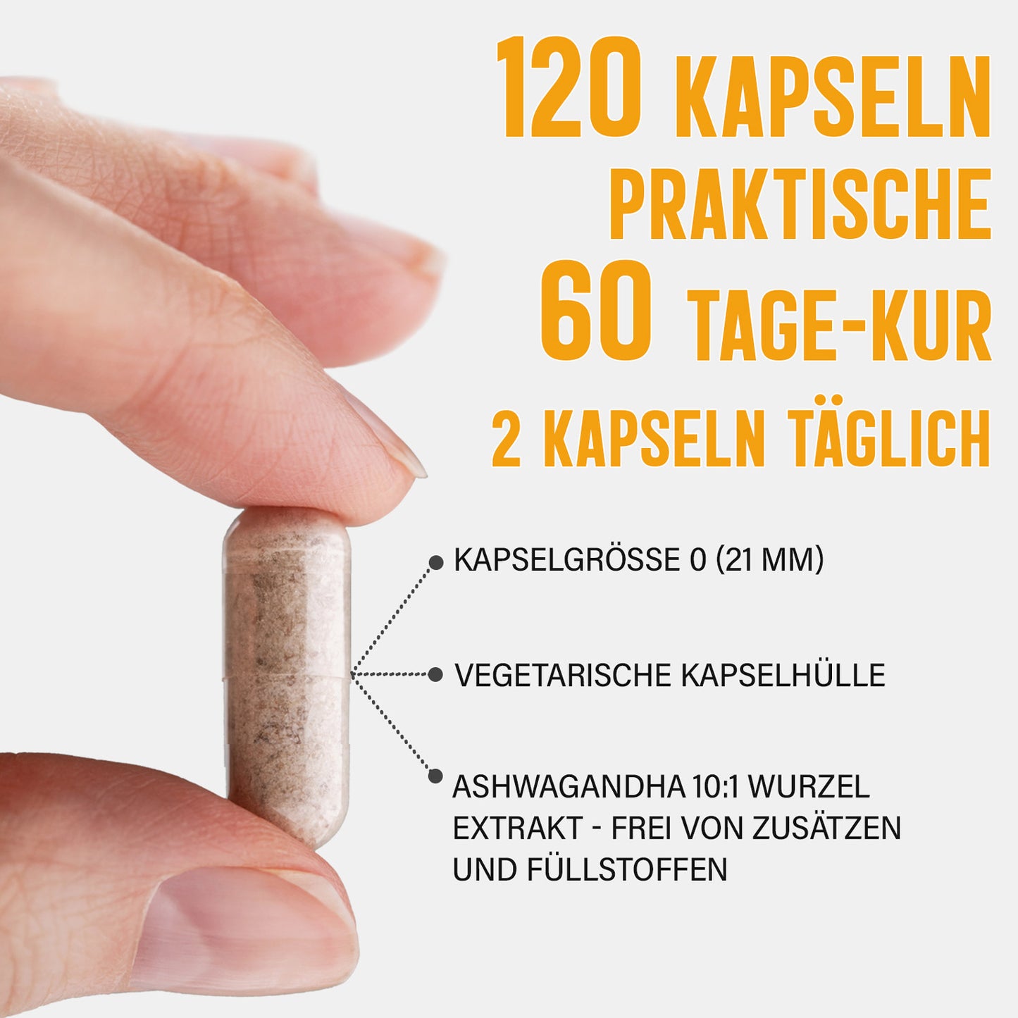 Ashwagandha Extrakt Kapseln 10% Withanolide - 120 Stück, 1000 mg Tagesportion