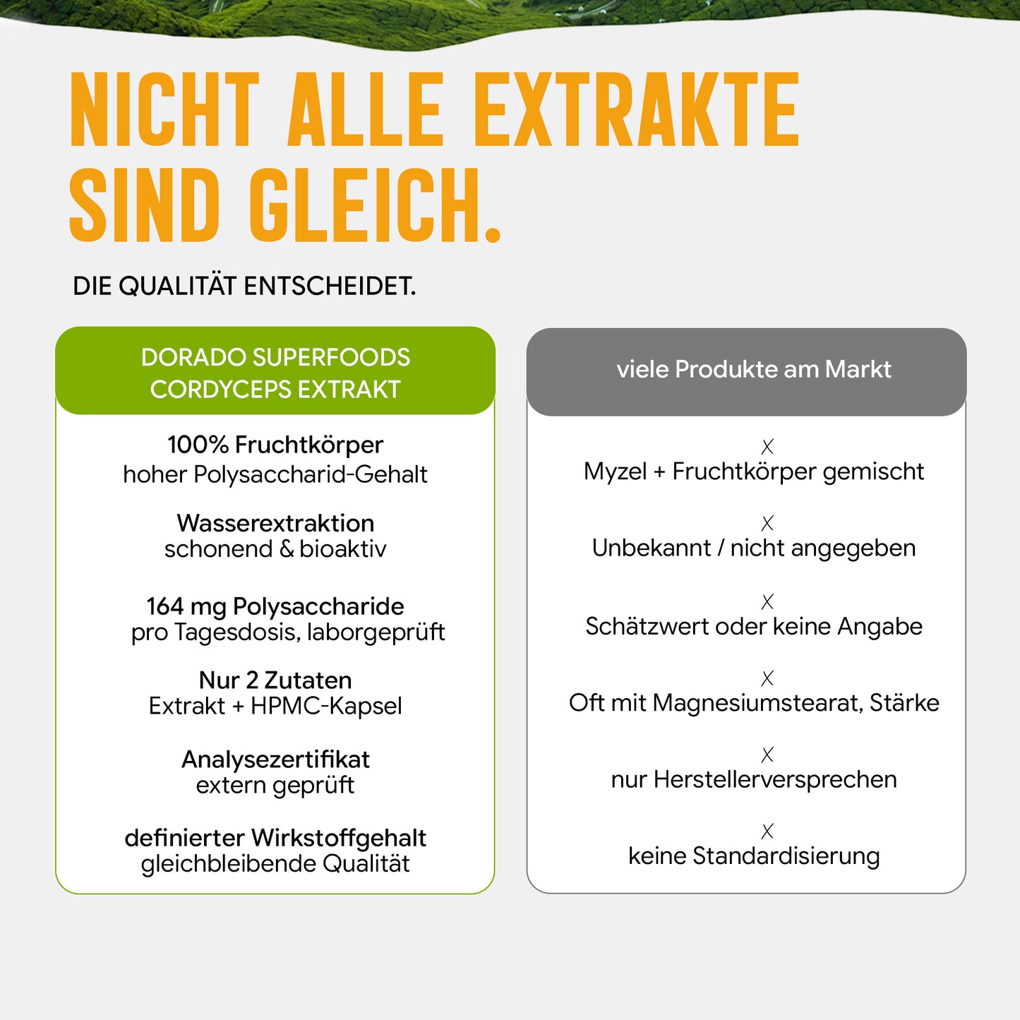 Cordyceps Pilz Kapseln hochdosiert | 410mg Extrakt | 10% Polysaccharide | 120 vegane Kapseln | Vitalpilz