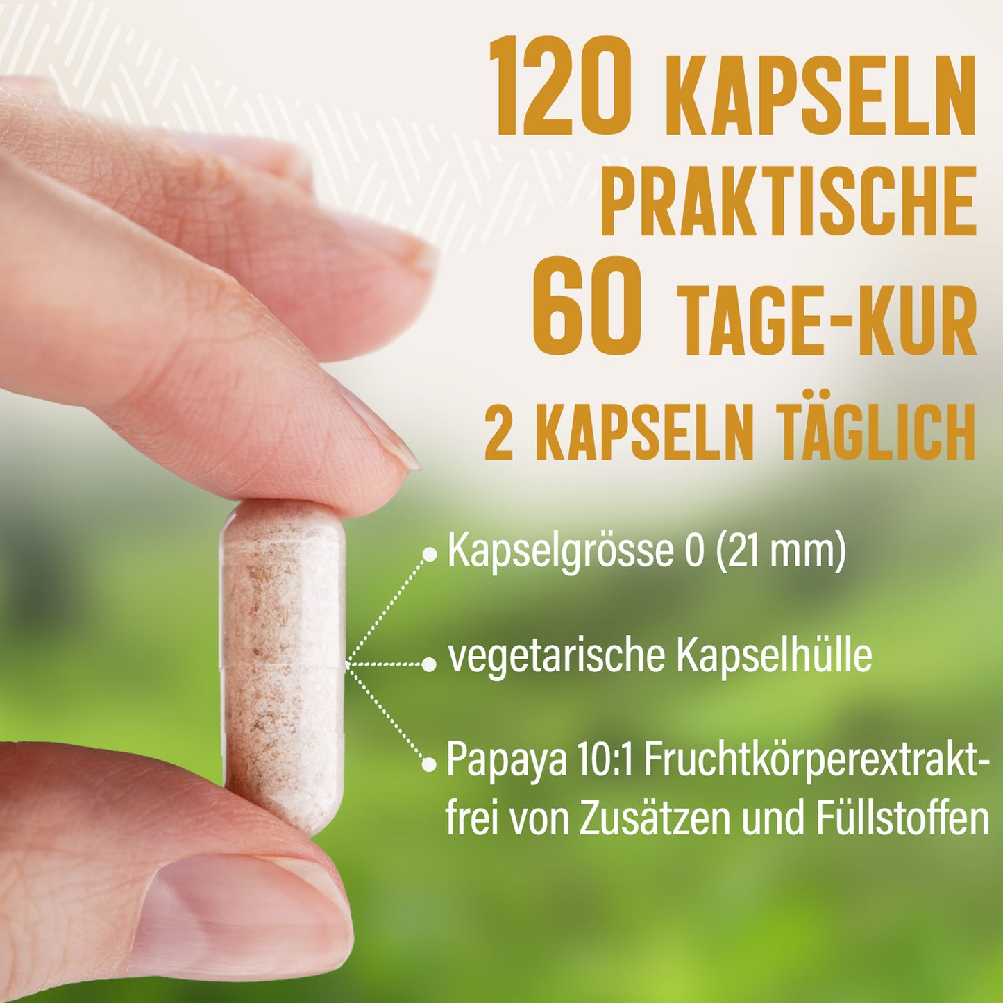 Papaya Extrakt Kapseln - 120 Stück, 1000 mg Tagesportion
