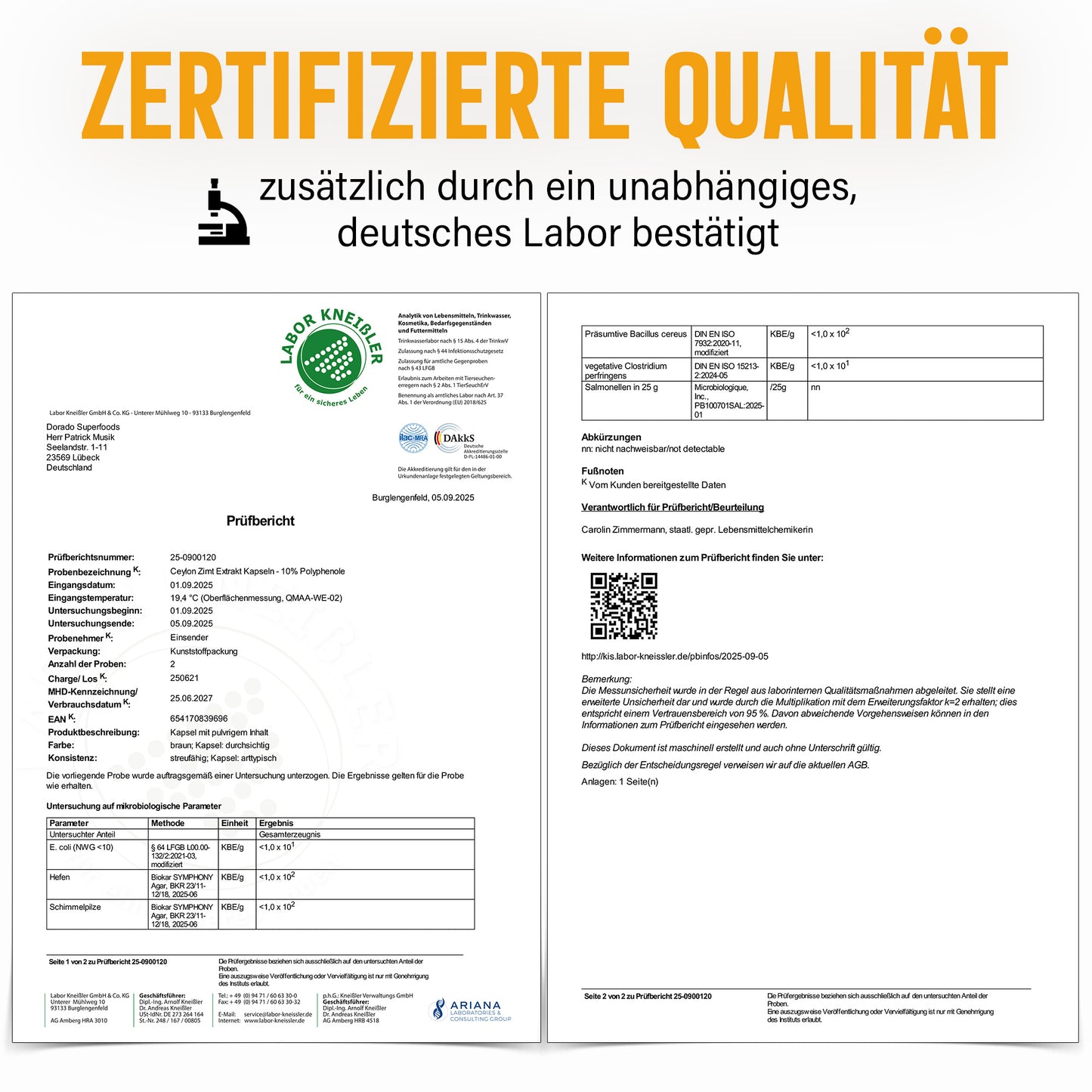 Ceylon Zimt Kapseln – 470 mg Rindenextrakt | 10 % Polyphenole – 120 Stück 4-Monatsvorrat