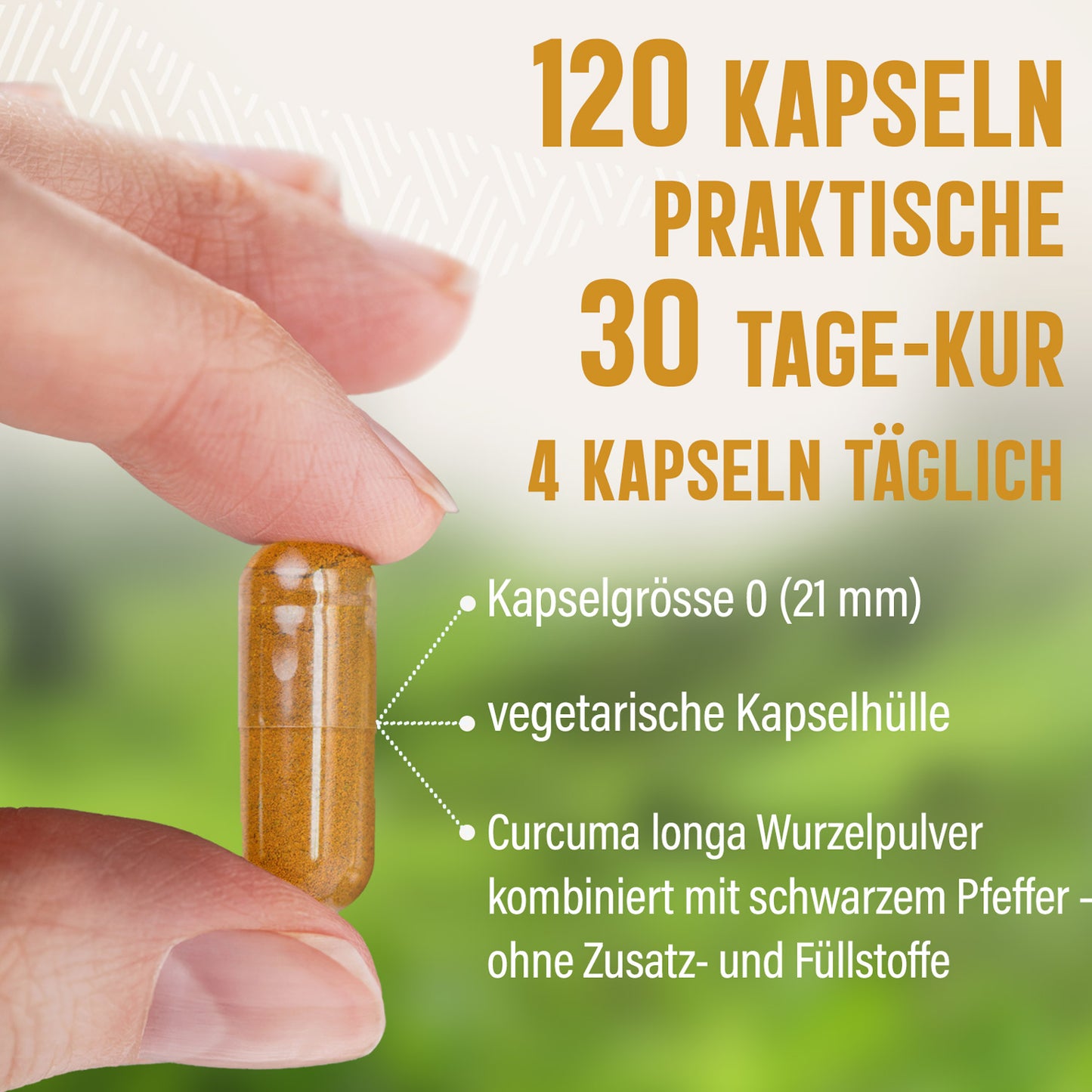 Curcuma + Piperin Kapseln - 120 Stück, 1680 mg Tagesportion