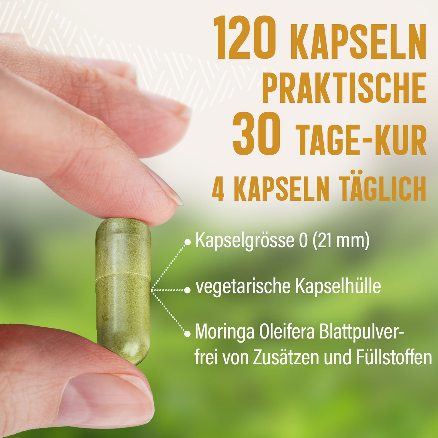 Moringa Oleifera Kapseln - 120 Stück, 1200 mg Tagesportion