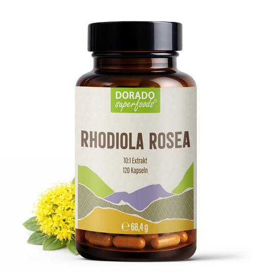 Rosenwurz Kapseln – 470 mg Rhodiola rosea Extrakt | 5 % Salidroside – 120 Stück 4-Monatsvorrat