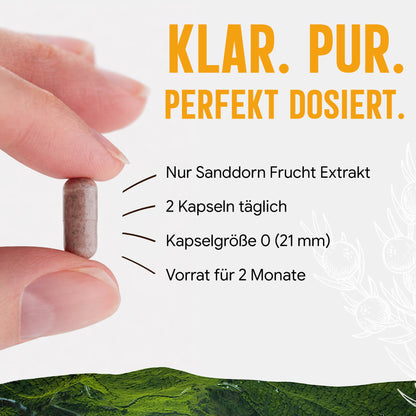 Sanddorn Extrakt Kapseln –  500 mg Frucht  – 30% Vitamin C | 120 Stück – 2 Monatsvorrat