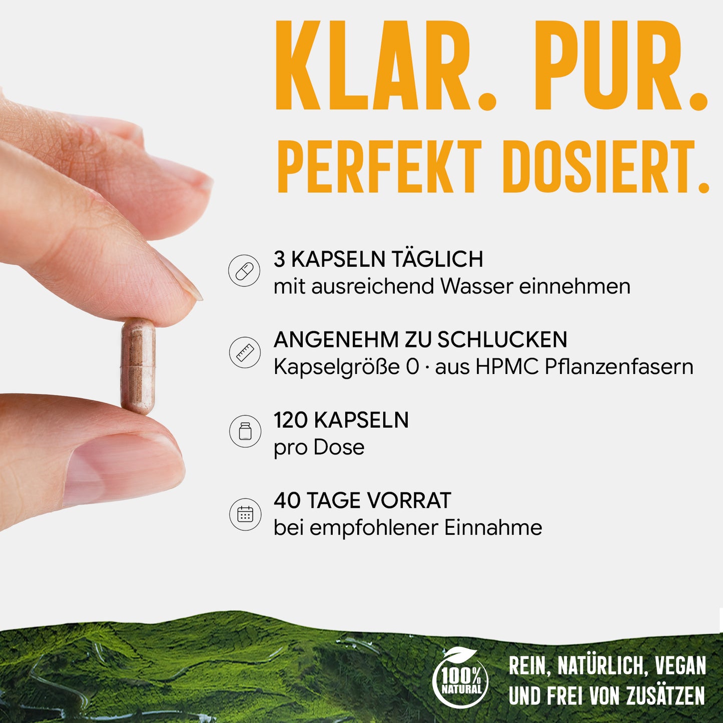 Agaricus Blazei Extrakt Kapseln hochdosiert | 500mg | 20:1 Extrakt | 120 vegane Kapseln | Vitalpilz