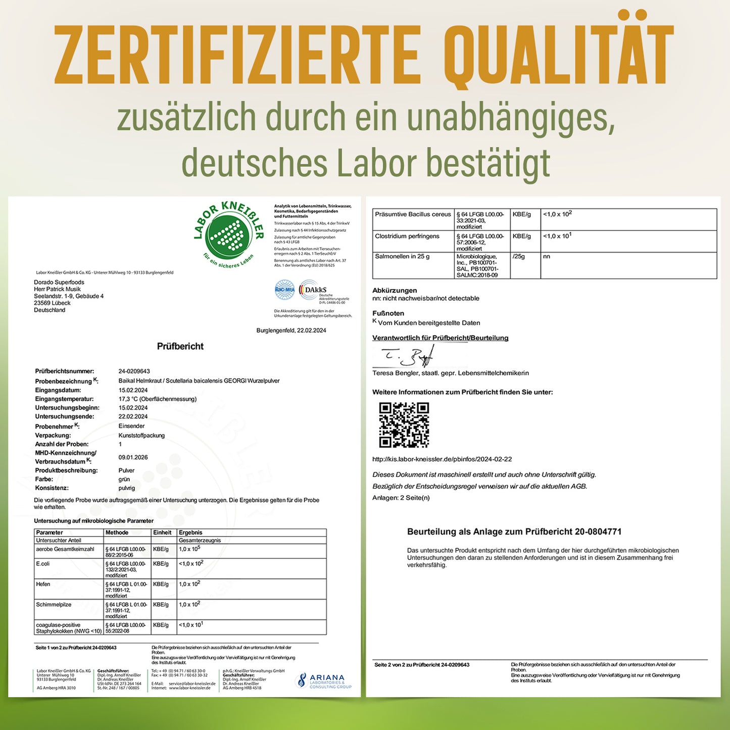 Baikal Helmkraut Wurzel Pulver - 100 g