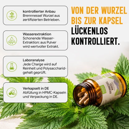 Brennnesselwurzel Kapseln hochdosiert | 400mg | 10:1 Extrakt | 120 vegane Kapseln