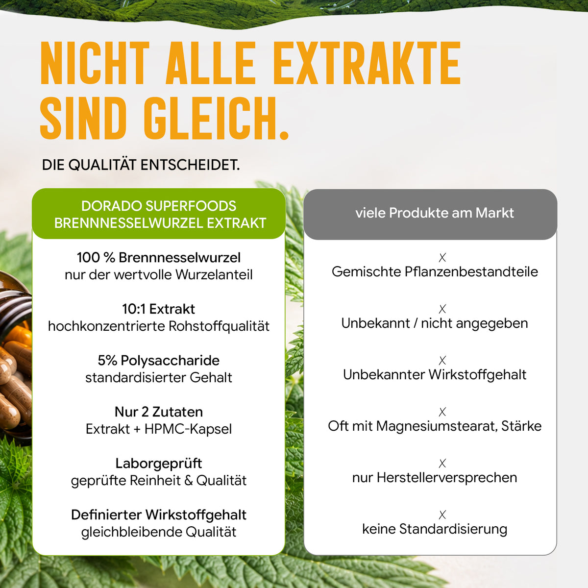 Brennnesselwurzel Kapseln hochdosiert | 400mg | 10:1 Extrakt | 120 vegane Kapseln
