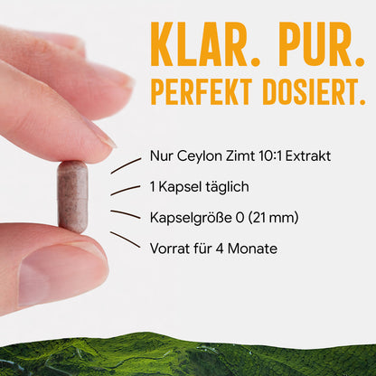 Ceylon Zimt Kapseln – 470 mg Rindenextrakt | 10 % Polyphenole – 120 Stück 4-Monatsvorrat
