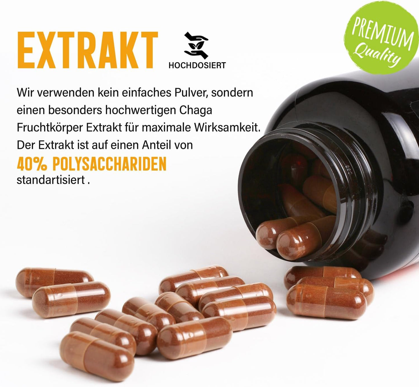 Chaga Extrakt Kapseln - 120 Stück, 40% Polysaccharide