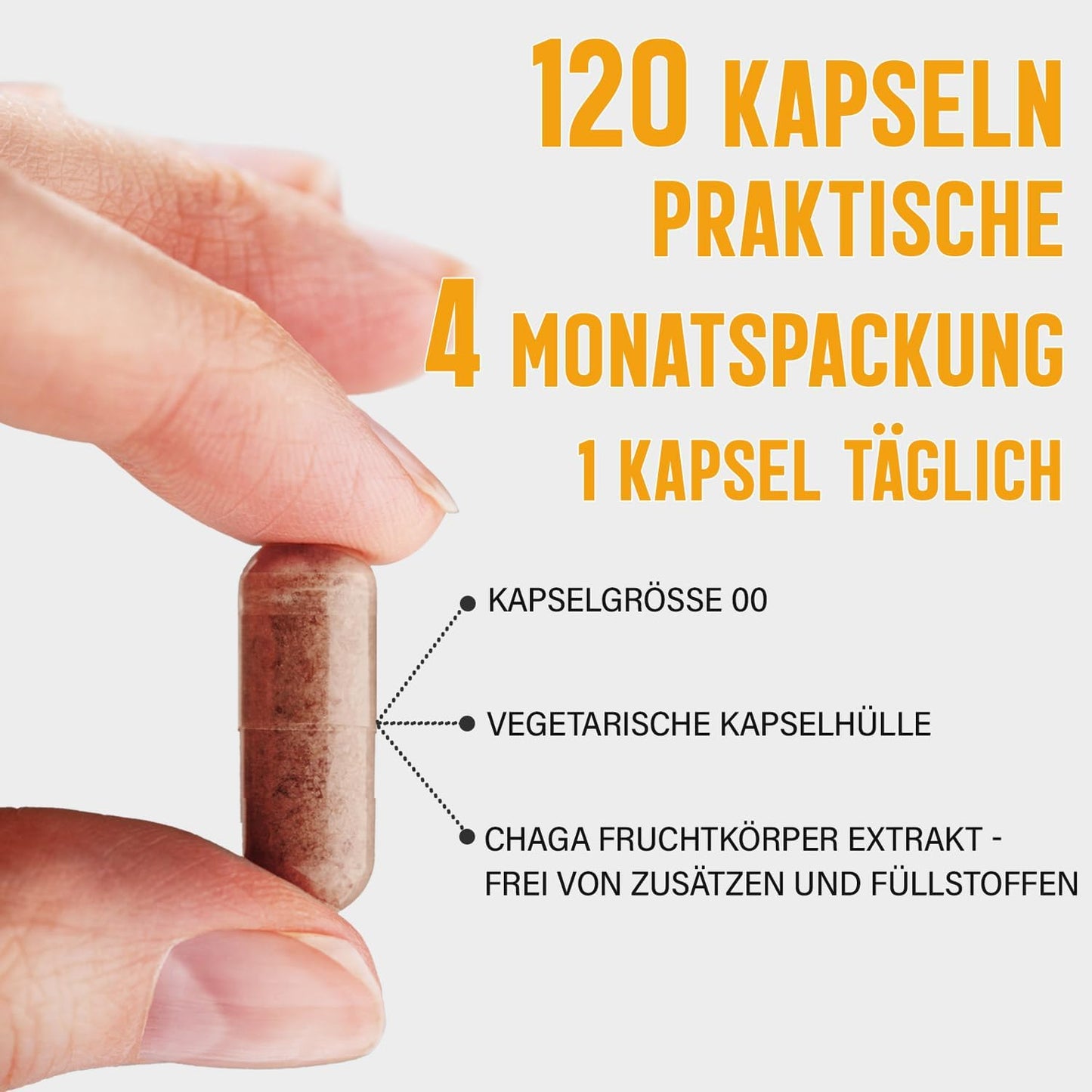 Chaga Extrakt Kapseln - 120 Stück, 40% Polysaccharide