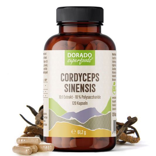 CordycepssinensisExtraktKapselnDoradoSuperfoods