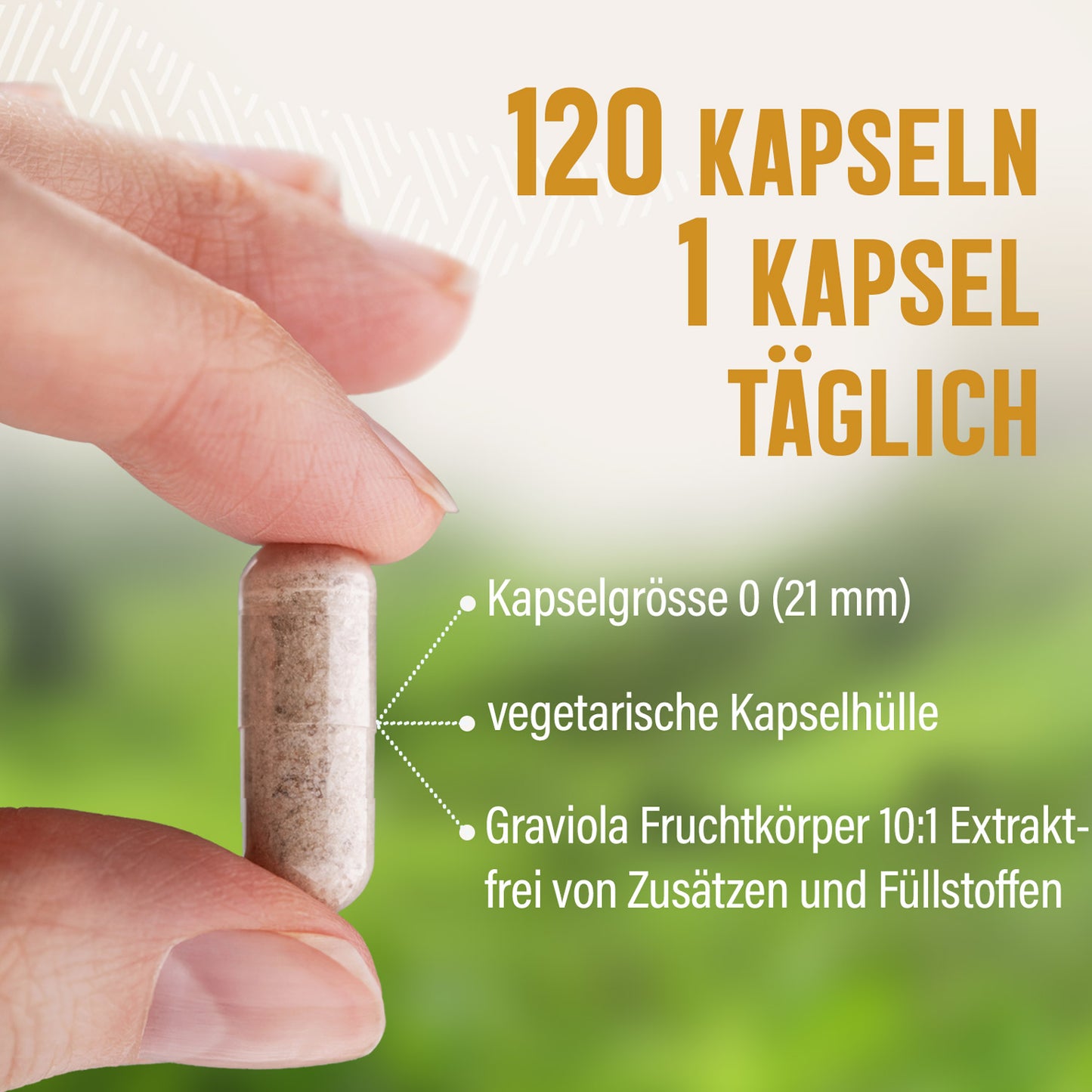 Graviola Extrakt Kapseln - 120 Stück, aus 10:1 Extrakt
