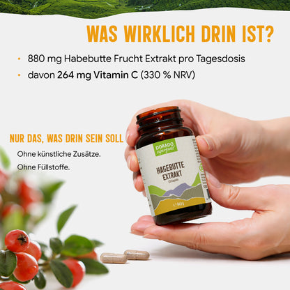 Hagebutte Extrakt Kapseln –  440 mg Frucht  – 30% Vitamin C | 120 Stück – 2 Monatsvorrat