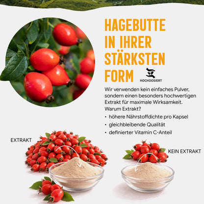 Hagebutte Extrakt Kapseln –  440 mg Frucht  – 30% Vitamin C | 120 Stück – 2 Monatsvorrat