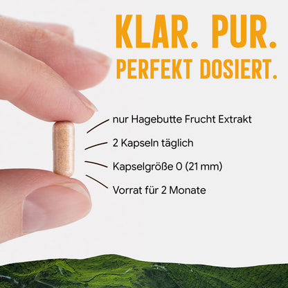 Hagebutte Extrakt Kapseln –  440 mg Frucht  – 30% Vitamin C | 120 Stück – 2 Monatsvorrat