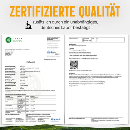 Hagebutte Extrakt Kapseln –  440 mg Frucht  – 30% Vitamin C | 120 Stück – 2 Monatsvorrat