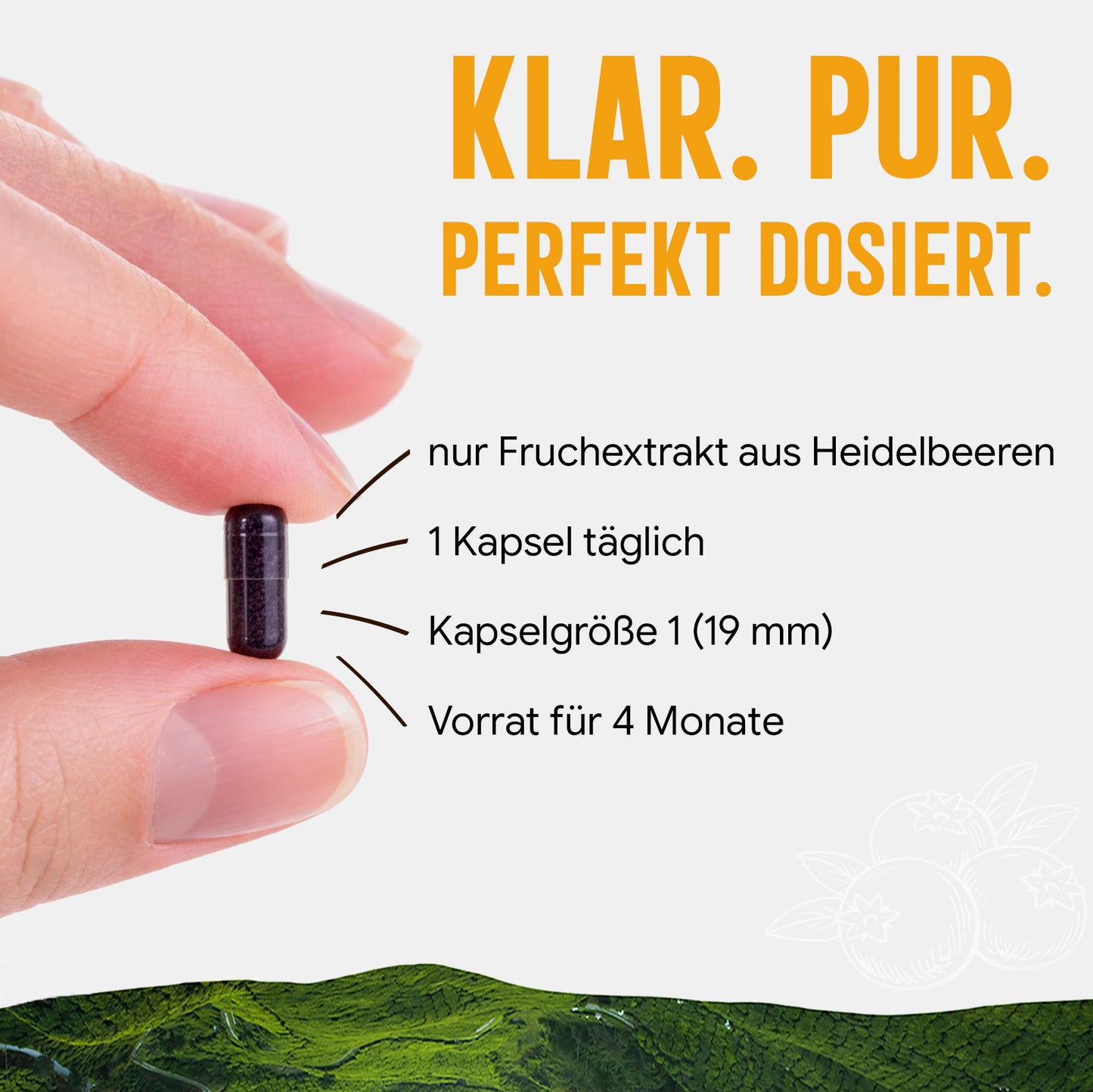 Heidelbeer Extrakt Kapseln –  300 mg – 25% Anthocyane | 120 Stück – 4 Monatsvorrat