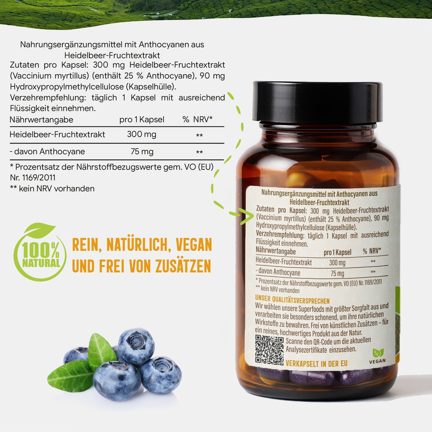 Heidelbeer Extrakt Kapseln –  300 mg – 25% Anthocyane | 120 Stück – 4 Monatsvorrat