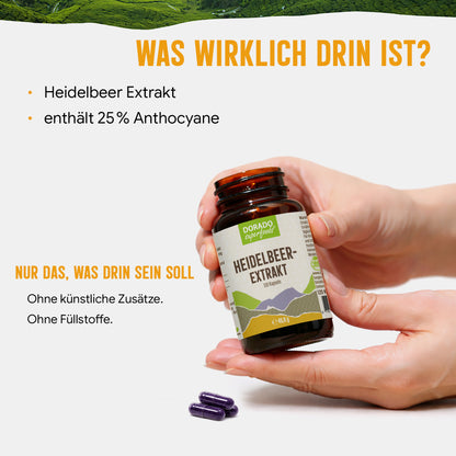 Heidelbeer Extrakt Kapseln –  300 mg – 25% Anthocyane | 120 Stück – 4 Monatsvorrat