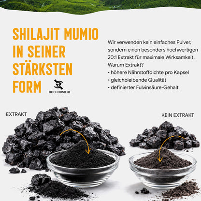 Shilajit Mumijo Extrakt Kapseln –  500 mg – 20% Fulvinsäure | 120 Stück – 4 Monatsvorrat