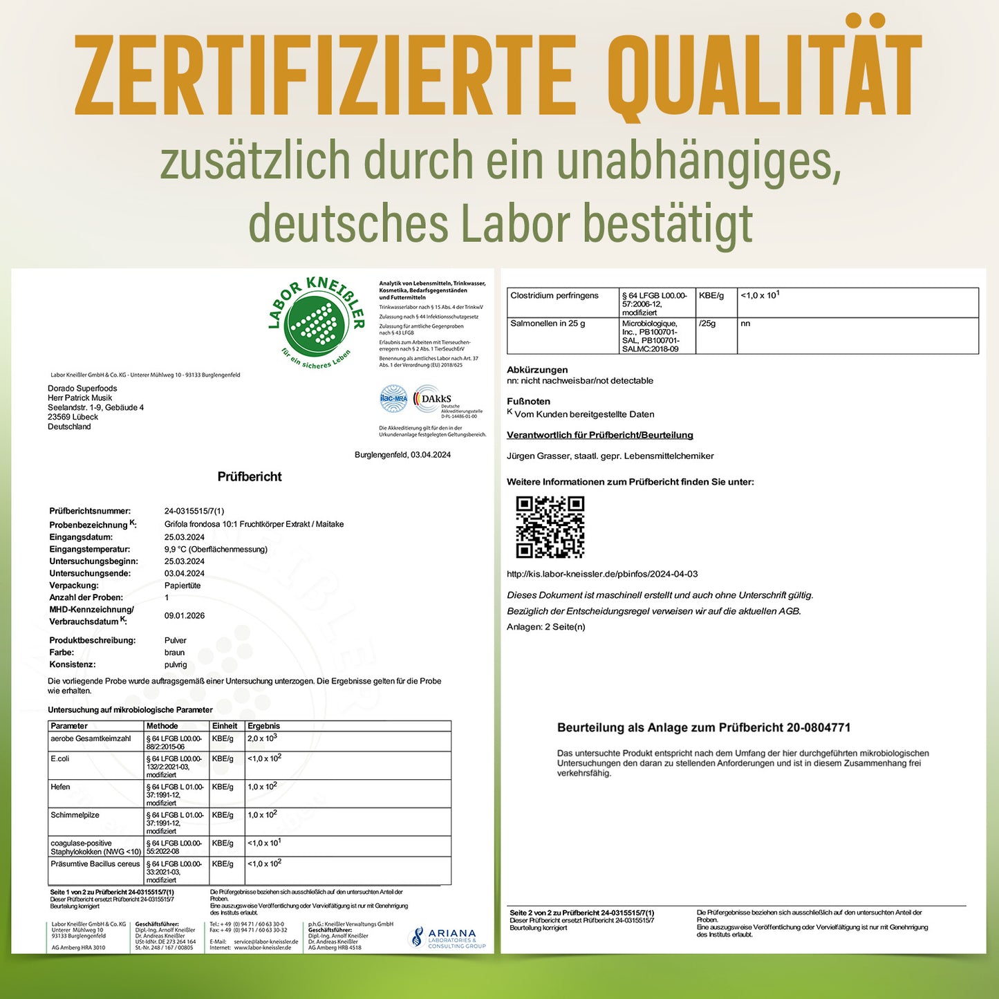Maitake Pulver aus Extrakt - 100 g, hochkonzentriert