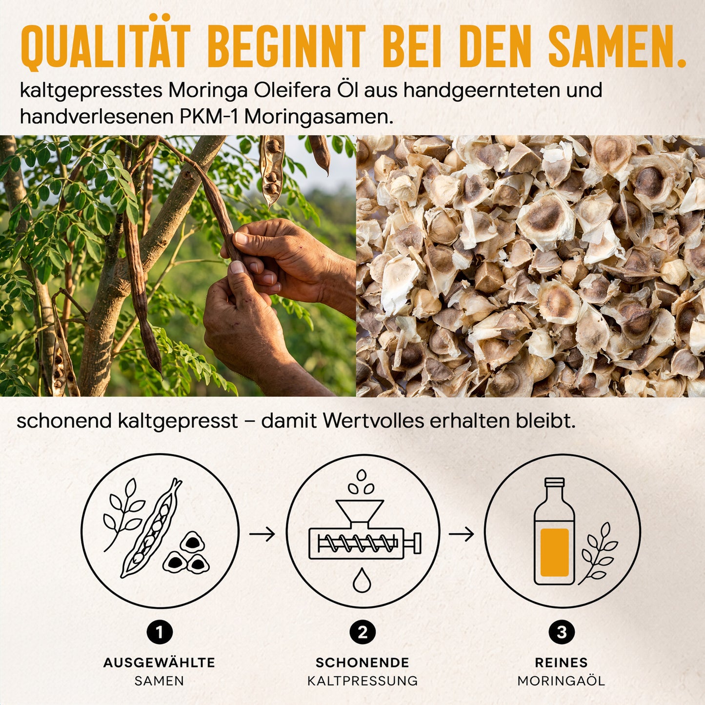 Moringa Oleifera Behenöl | 100ml | kaltgepresst | frei von Zusätzen