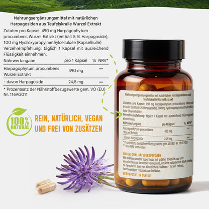 Teufelskralle Extrakt Kapseln - 490 mg | 5% Harpagoside - 4 Monatsvorrat