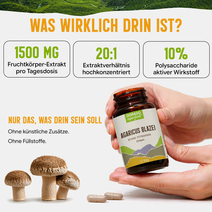 Agaricus Blazei Extrakt Kapseln hochdosiert | 500mg | 20:1 Extrakt | 120 vegane Kapseln | Vitalpilz