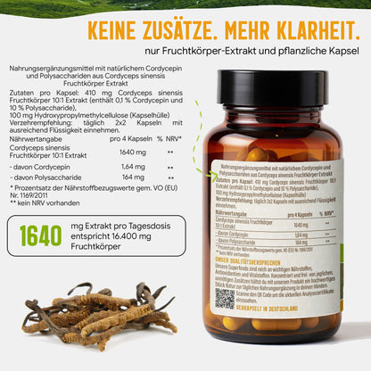 Cordyceps Pilz Kapseln hochdosiert | 410mg Extrakt | 10% Polysaccharide | 120 vegane Kapseln | Vitalpilz
