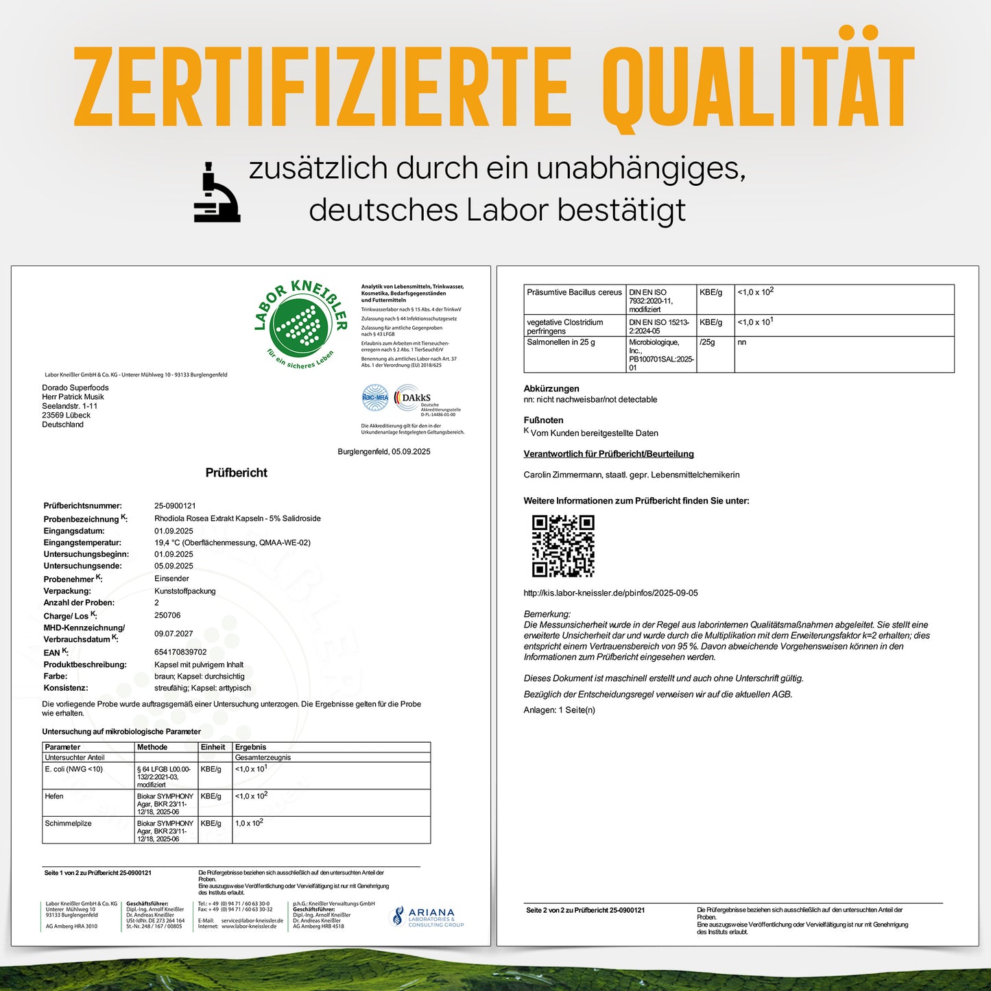 Rosenwurz Kapseln – 470 mg Rhodiola rosea Extrakt | 5 % Salidroside – 120 Stück 4-Monatsvorrat