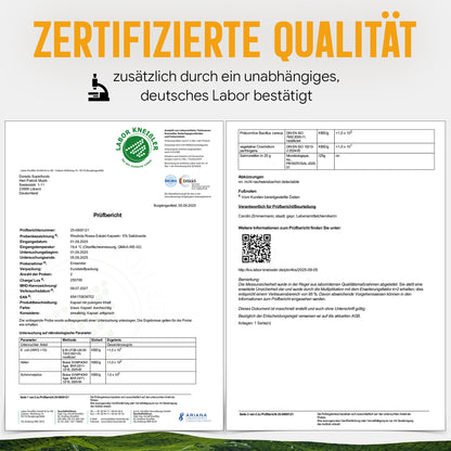 Rosenwurz Kapseln – 470 mg Rhodiola rosea Extrakt | 5 % Salidroside – 120 Stück 4-Monatsvorrat
