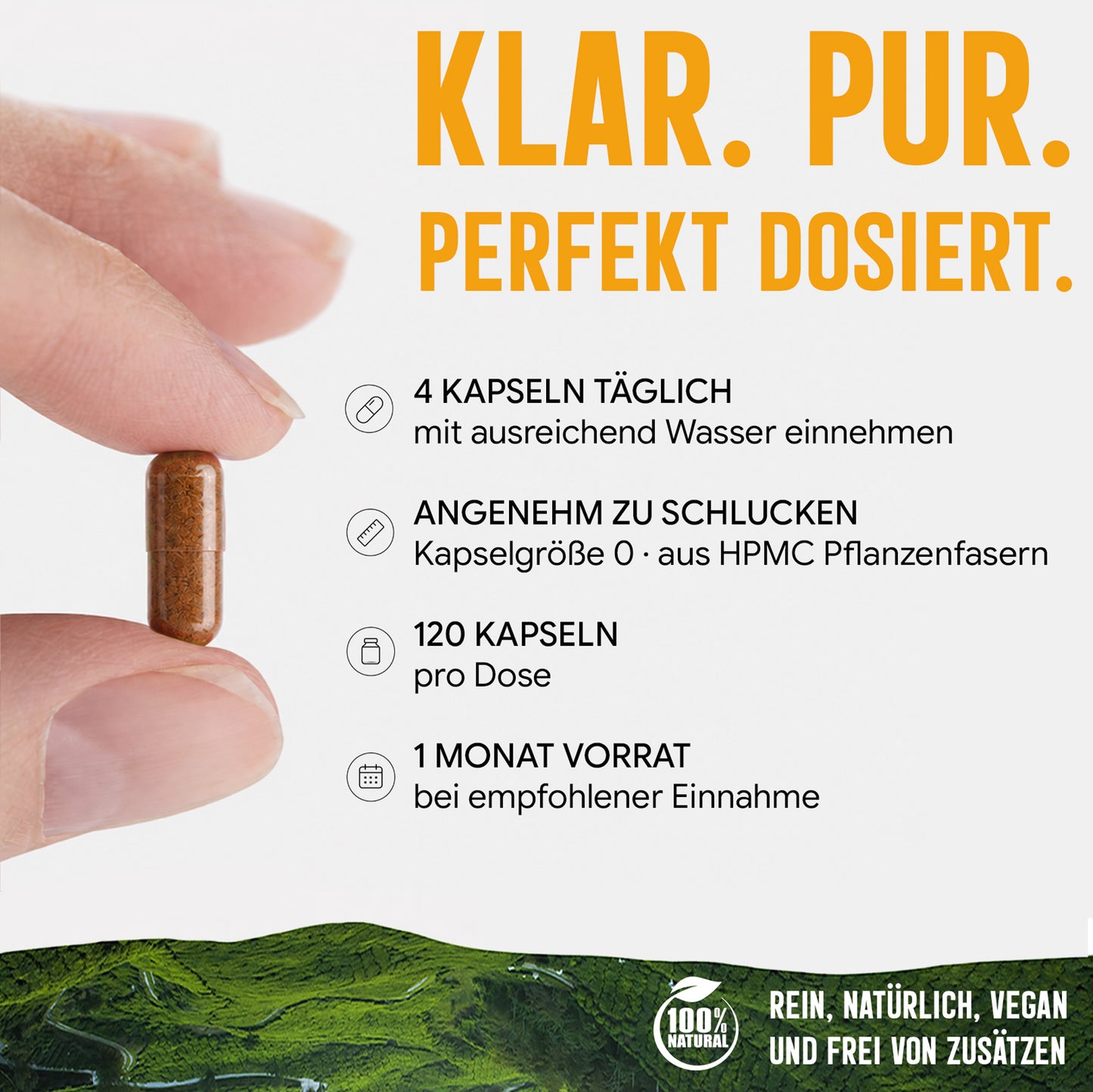 Shiitake Extrakt Kapseln - 120 Stück, 1600 mg Tagesportion