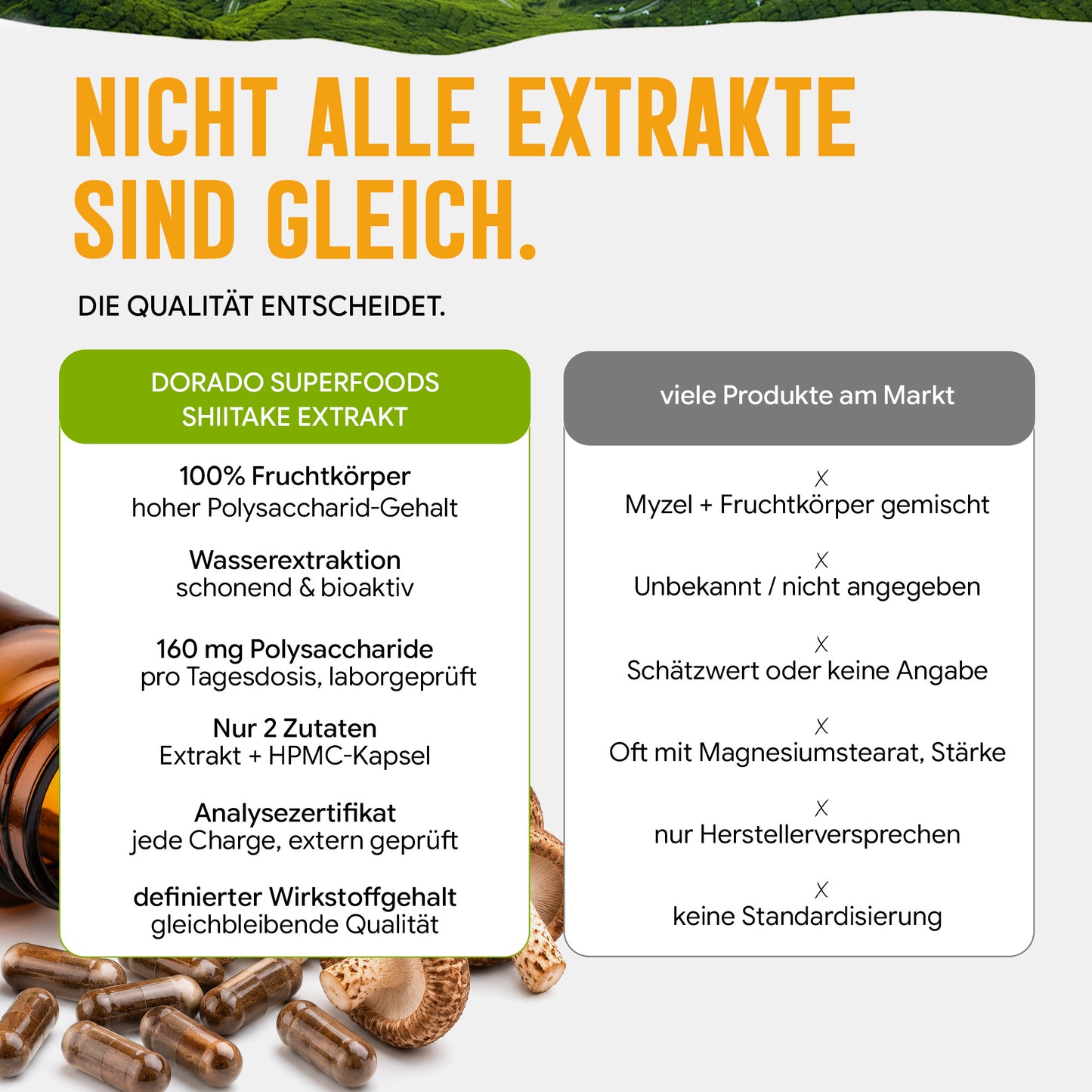 Shiitake Extrakt Kapseln - 120 Stück, 1600 mg Tagesportion